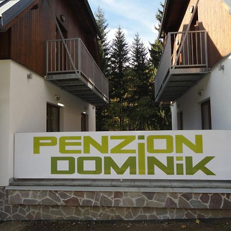 Penzion Dominik Zelezna Ruda Bagian luar foto