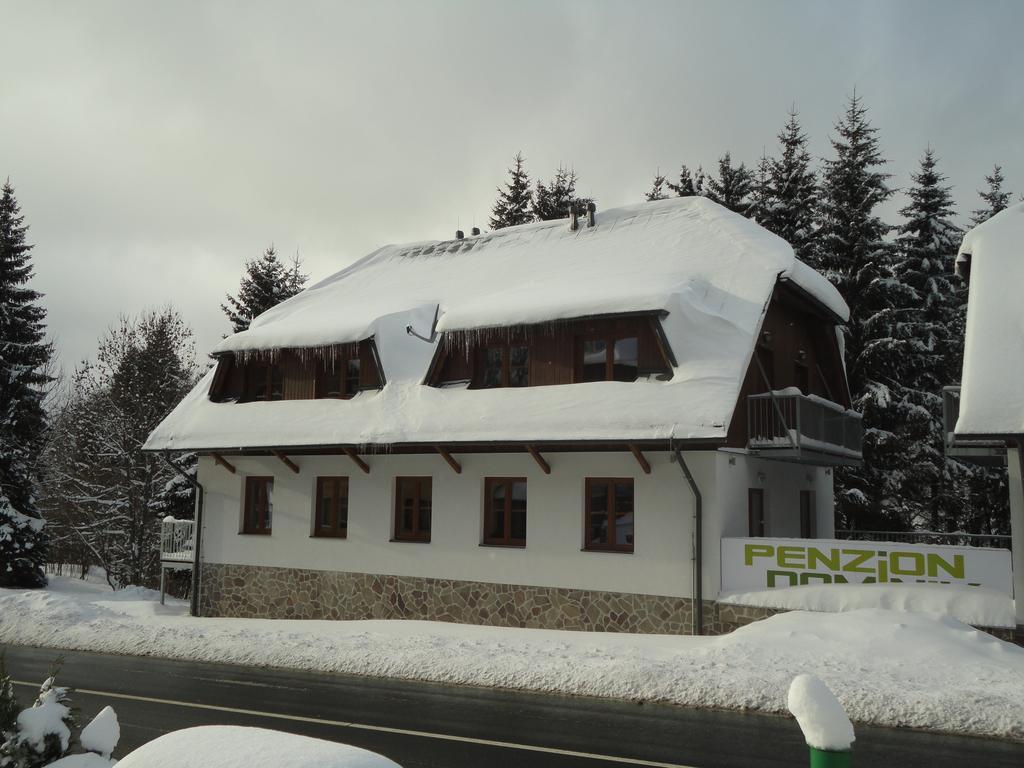 Penzion Dominik Zelezna Ruda Bagian luar foto